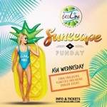 Besslime Sunscape: DDI Funday @ Down D Islands