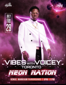 VIBES WITH VOICEY TORONTO @ Markham Fairgrounds