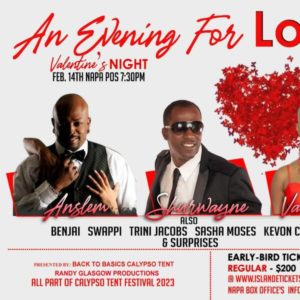 AN EVENING FOR LOVE,VALENTINES NIGHT @ National Academy Of The Performing Arts, Port Of Spain